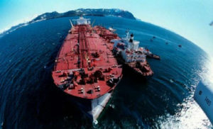 portadaperrospetroleo